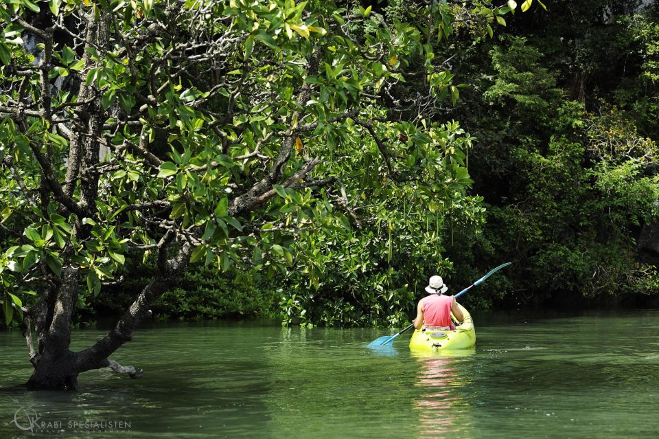 Krabi: Half Day Tour Mangrove Tour Kayaking Tour With Lunch - Customer Review