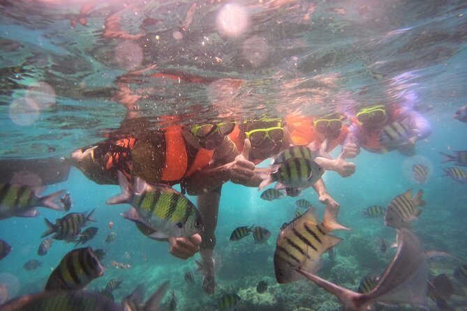 Krabi Hong Islands and Snorkeling by Shared Boat - Return Details