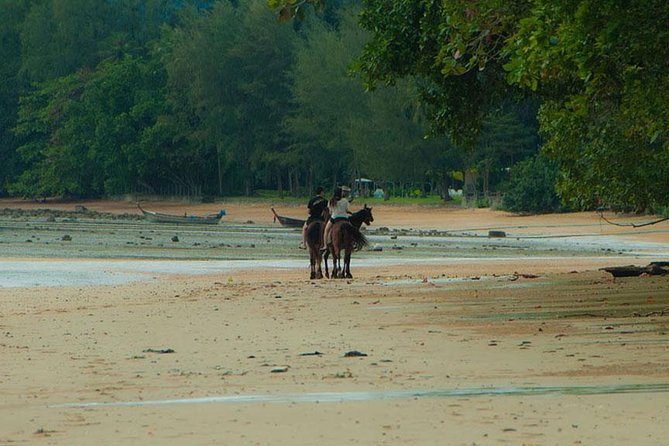 Krabi Horse Riding at The Beach - Cancellation Policy and Reviews