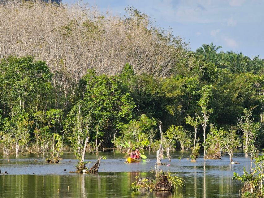 Krabi: South Kayak Klong Root Kayaking Tour - Kayaking Tour Highlights