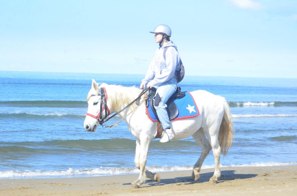 Kusadasi: Beach and Forest Horse Riding Tour - Directions