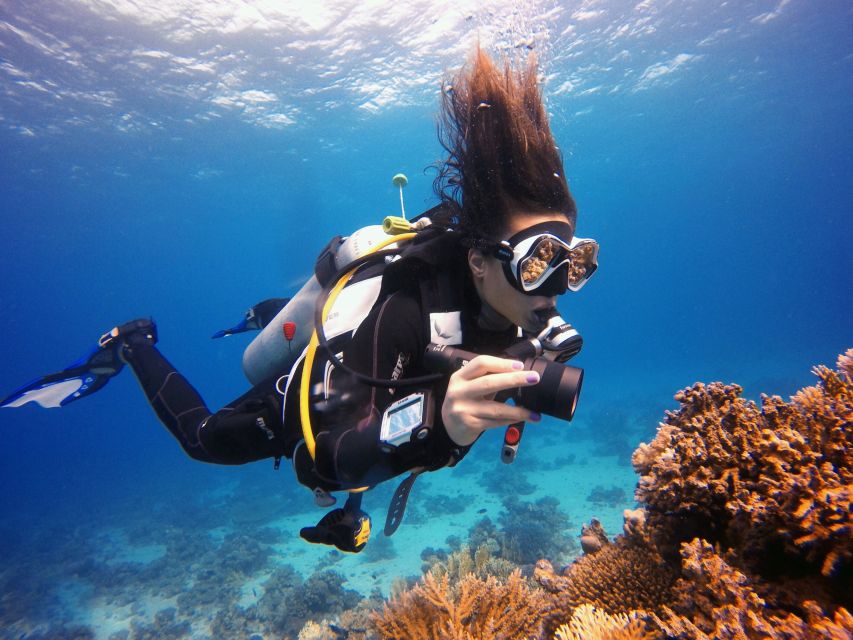 Kusadasi: Scuba Diving for Beginner or Experienced W/ Lunch - Activity Itinerary