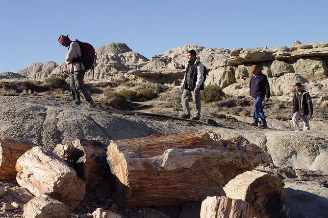 La Leona Petrified Forest Hiking Tour From El Calafate - Directions