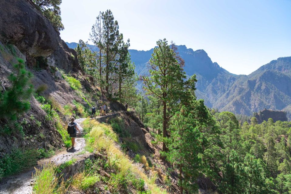 La Palma: Caldera De Taburiente National Park Guided Hike - Important Items to Bring