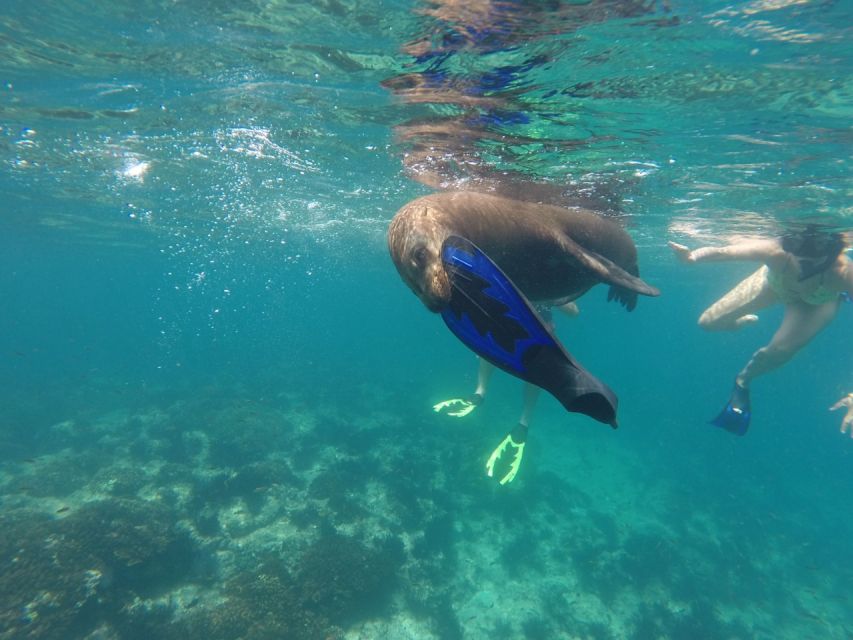 La Paz: Snorkeling Trip to Espiritu Santo Island - Snorkeling Location