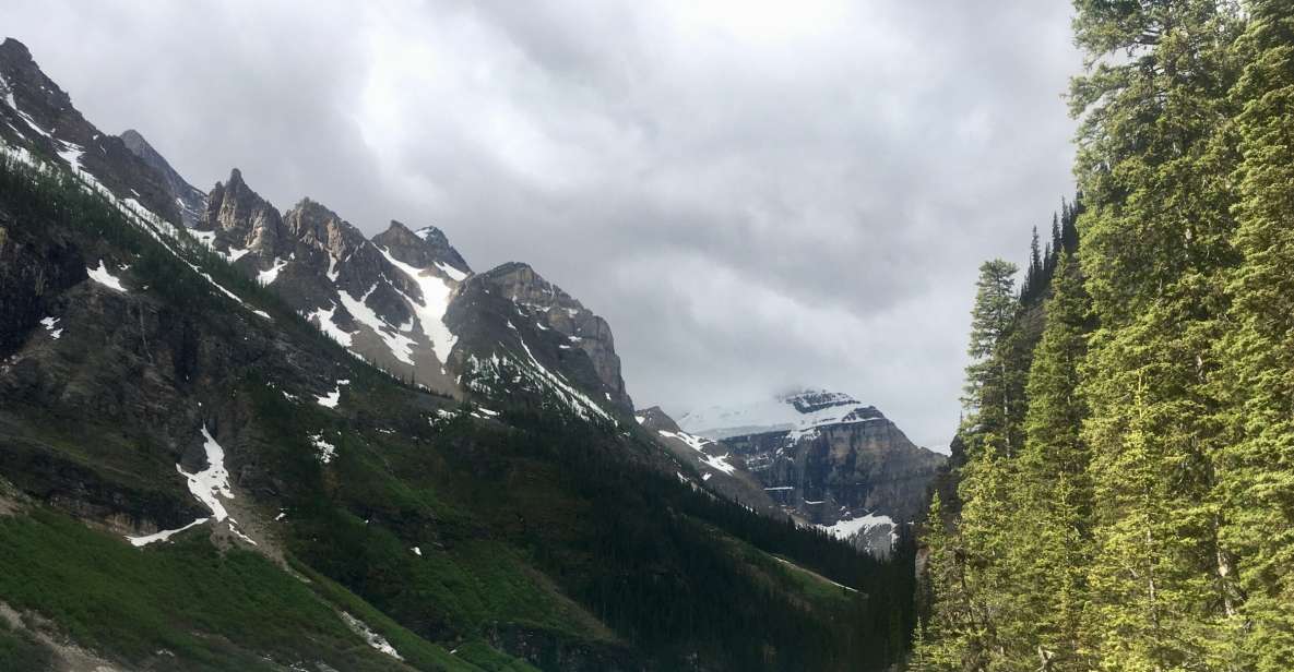 Lake Louise Full-Day Hiking Experience - Logistics and Booking