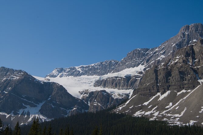 Lake View Full Day Tour-Moraine Lake, Lake Louise, Peyto Lake... - Lunch Break and Relaxation