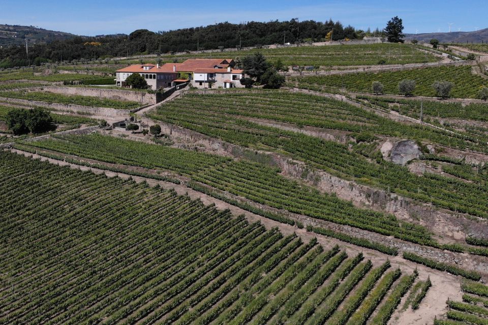 Lamego: Quinta Da Portela De Baixo Winery Tour and Tasting - Customer Reviews