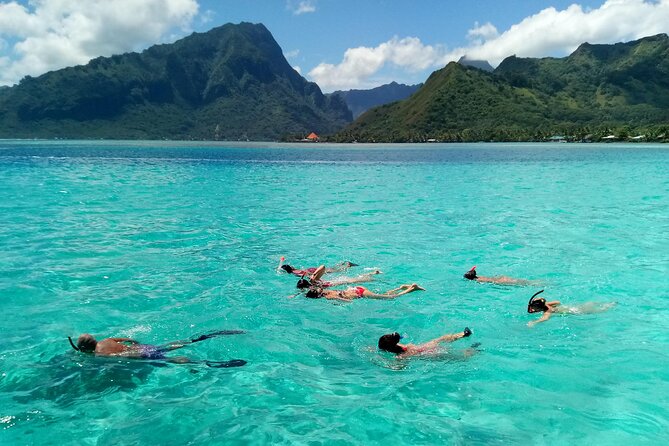 Land and Sea Cultural Tour to Discover Traditions, Heritage and the Lagoon - Lagoon Exploration