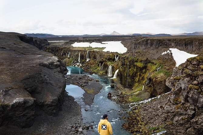 Landmannalaugar Hike & the Valley of Tears From RVK & Selfoss - Traveler Reviews and Insights