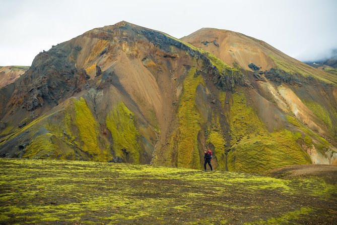 Landmannalaugar Hiking Tour - Highlands of Iceland - Traveler Reviews and Guide Expertise
