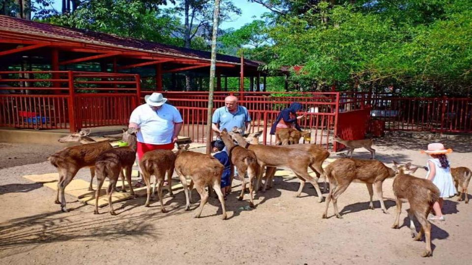 Langkawi: Langkawi Wildlife Park Entry Ticket - Wildlife Interaction