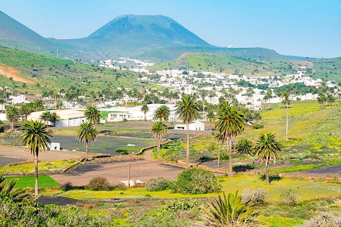 Lanzarote: Corona Volcano, Lava Caves, Cesar Manrique Bus Tour - Traveler Reviews Analysis