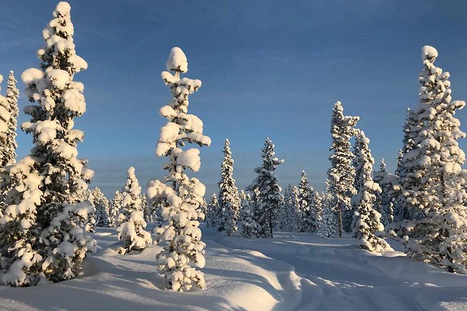 Lapland 2-Person Snowmobile Tour With Lunch From Kiruna - Logistics