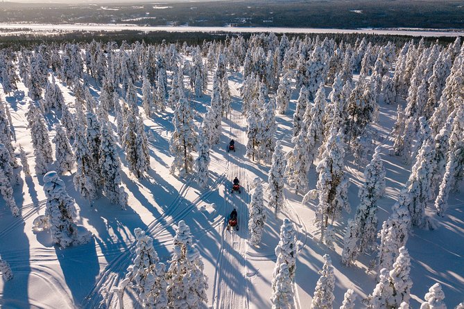 Lapland Family Snowmobile Safari From Levi - Reviews and Ratings