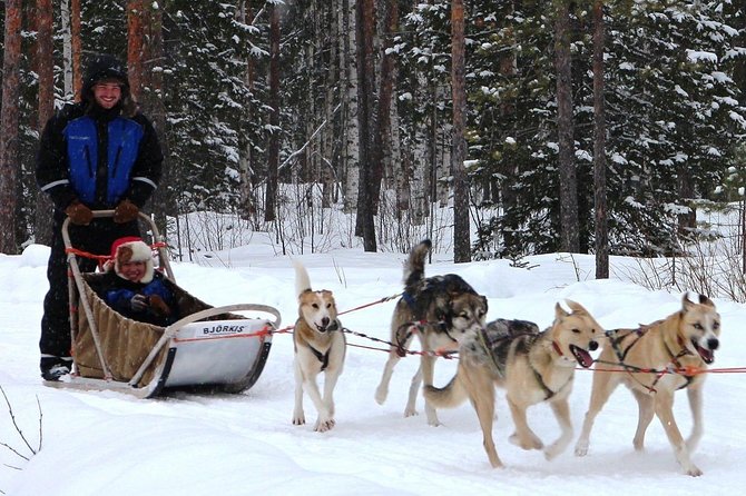 Lapland Husky Safari From Saariselkä - Understand Pricing and Payment Options