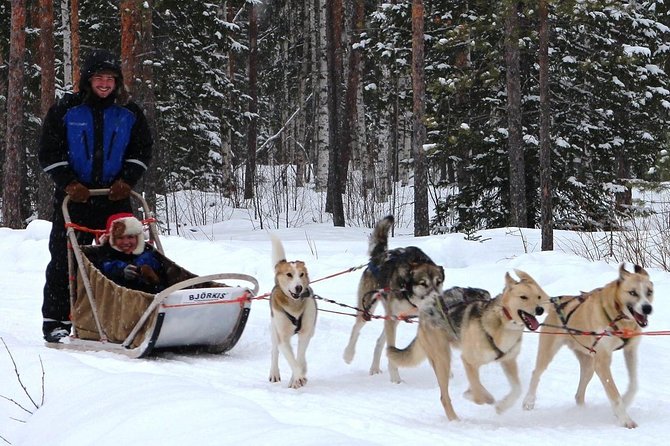 Lapland Reindeer and Husky Safari From Rovaniemi - Visitor Recommendations and Satisfaction