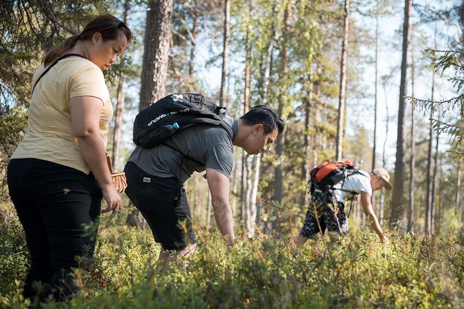 Lapland Small-Group Foraging Tour From Rovaniemi (Mar ) - Flexible Cancellation Policy