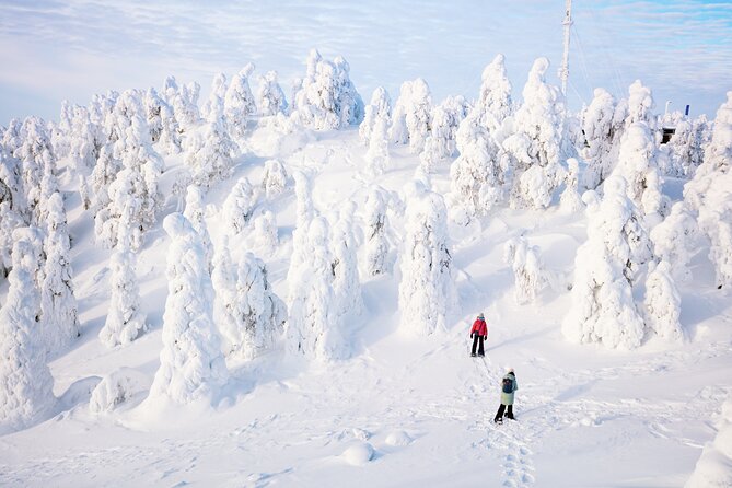 Lapland Winter Experience - Booking Information