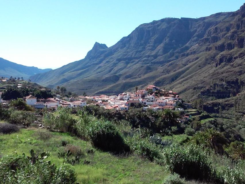 Las Palmas: 8-Hour Gran Canaria Island Highlights Tour - Pico De Las Nieves Panoramic Views