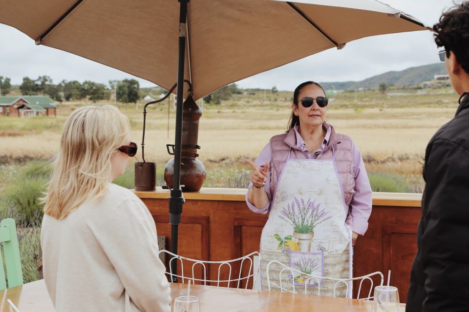 Lavender Field Guided Tour - Booking Details