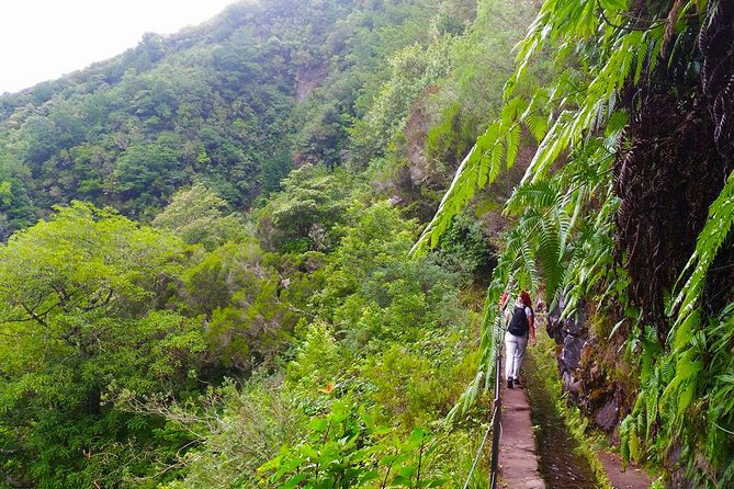 Levada Do Caldeirão Verde Levada Walk From Funchal - Cancellation Policy