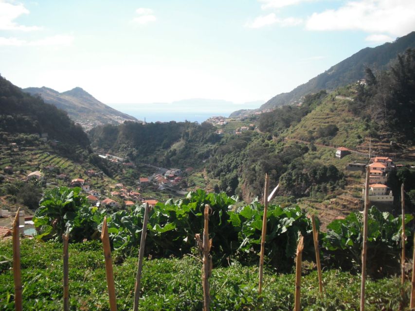Levada Dos Maroços - Half Day - Easy Walk - Payment and Reservation Options Available