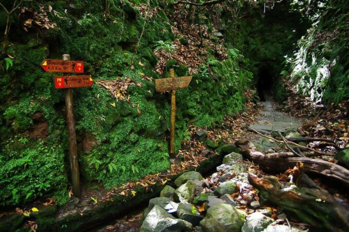 Levada Walk and Caldeirao Verde Waterfalls: Madeira - Last Words