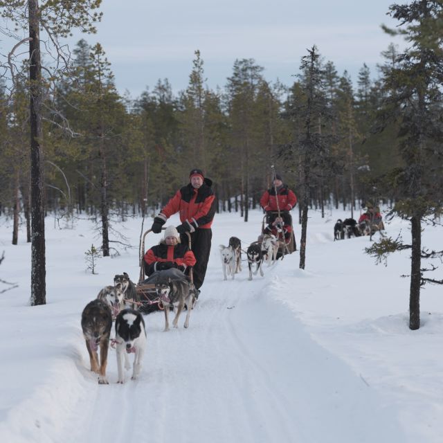 Levi: Evening Husky Sled Ride Under the Northern Lights - Reserve Now & Pay Later