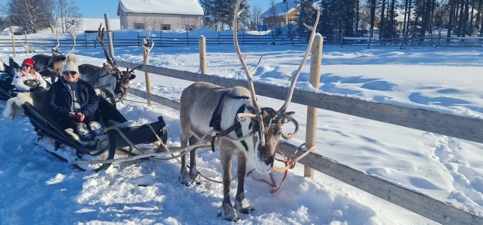 Levi: Lappish Village Experience and Reindeer Sled Ride - Customer Reviews