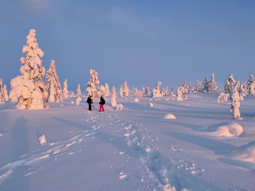 Levi: Pallas-Yllästunturi National Park Snowshoeing Tour - Customer Reviews