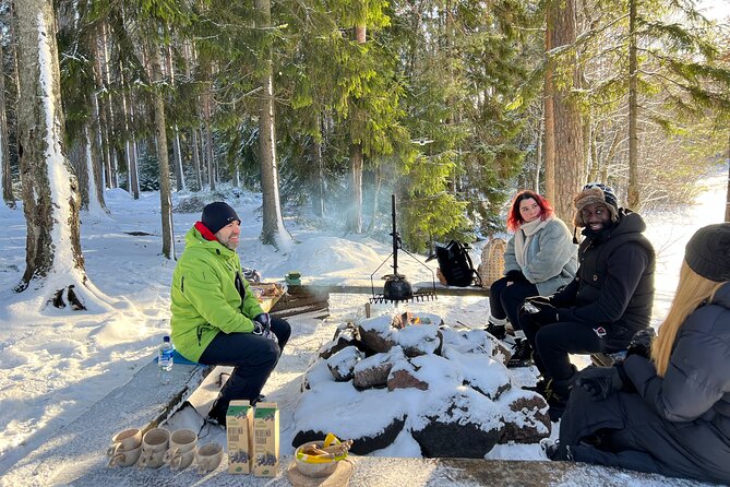 Liesjarvi National Park Hiking Trip From Helsinki (Mar ) - Detailed Hiking Experience