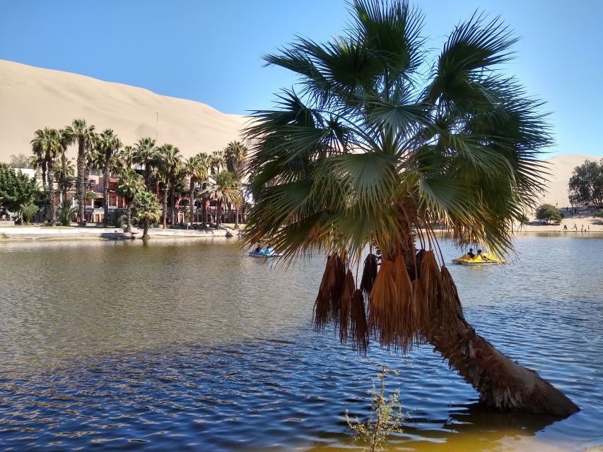 Lima: Ballestas Islands, Huacachina Oasis & Nazca Lines Tour - Customer Reviews