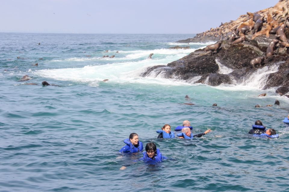 Lima: Palomino Islands Speedboat Tour & Swim With Sea Lions - Pickup Information