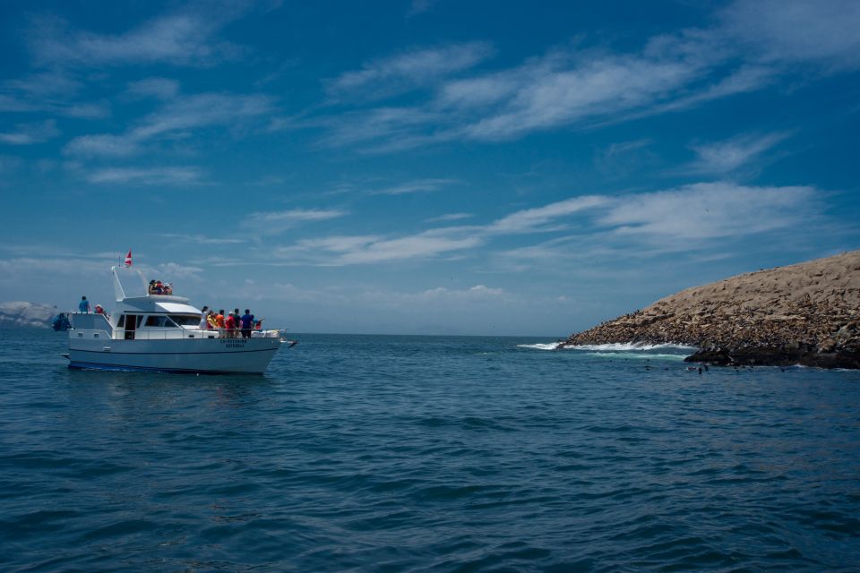 Lima: Sea Lion Swim and Wildlife Palomino Islands Cruise - Additional Information