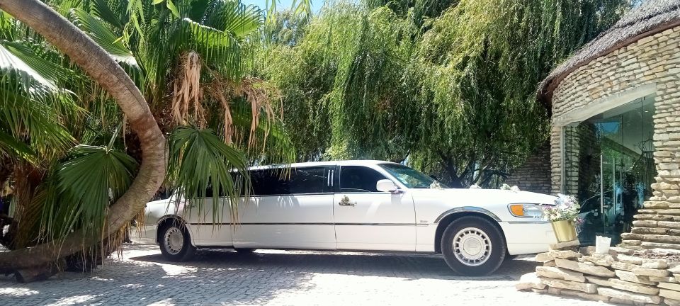 Limousine Rental - Tailored Packages and Competitive Pricing