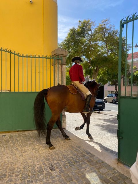 Lisbon: Morning of Equestrian Art With Lusitano Horses - General Information