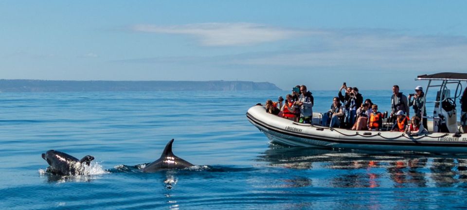 Lisbon: SpeedBoat Tour at Sunset or Daylight - Directions for Joining the Tour