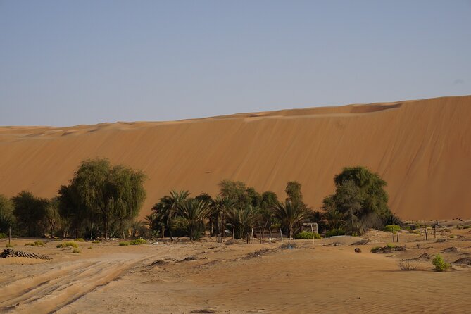 Liwa Full Day Desert Safari From Abu Dhabi - Liwa Fort Visit