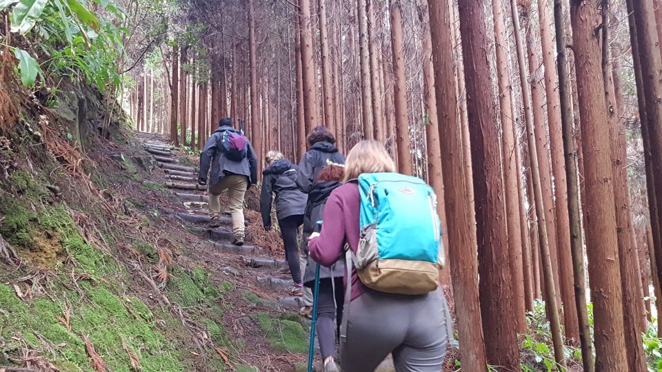 Lomba De São Pedro: Waterfall Hiking Tour With Tea Tasting - Inclusions