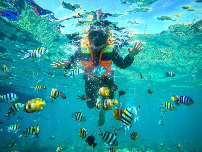 Lombok: Gili Islands Private Snorkeling Boat Trip - Common questions