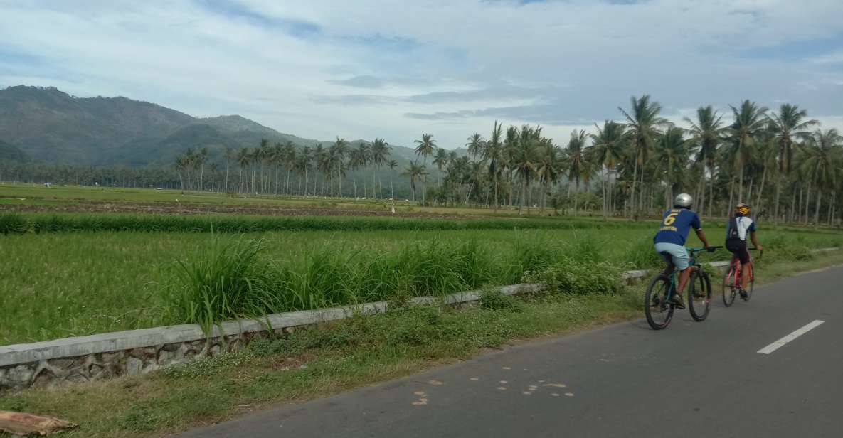 Lombok: Half Day City and Pengsong Countryside Biking Tour - Last Words