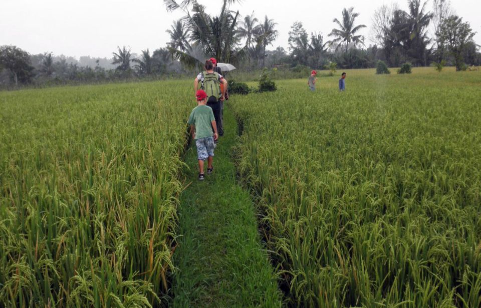 Lombok Rice Field Walking Tour - Additional Information