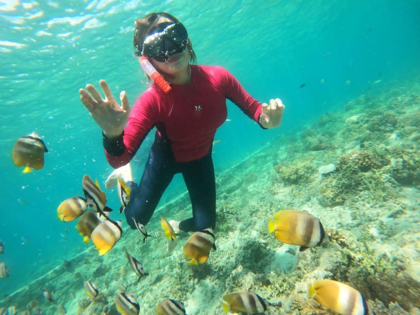Lombok : Trawangan, Meno & Air Islands Full Day Snorkeling - Activity Highlights