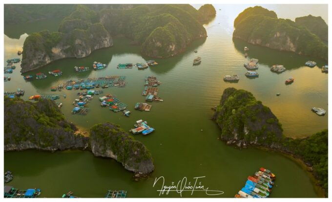 Long Trekking Catba National Park, Lan Ha Bay Full Day Trip - Customer Reviews and Suggestions