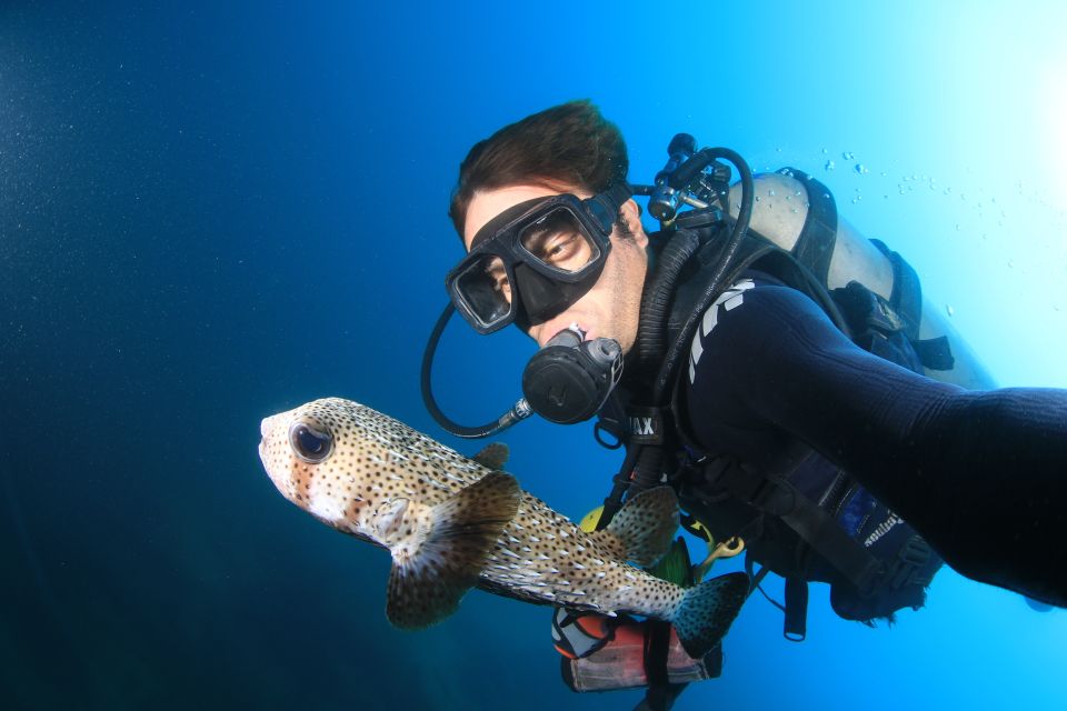Los Cabos: 3-Hour Introductory Scuba Diving Adventure - Customer Reviews and Ratings