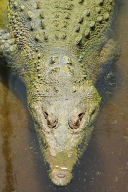 Los Cabos: Animal Sanctuary Tour - Activity Location