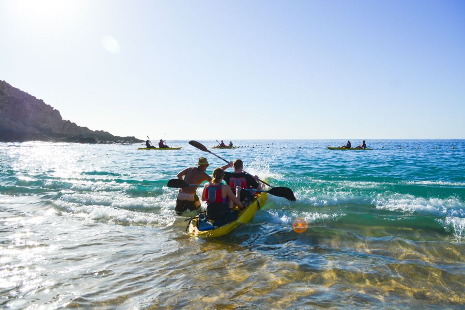 Los Cabos: Bay Kayaking and Snorkeling Private Tour - Tour Description