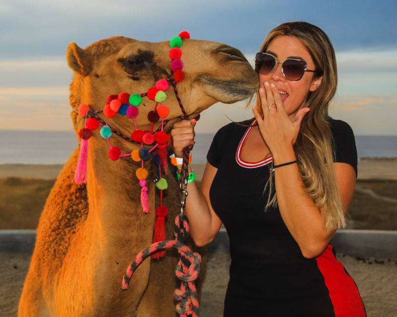 Los Cabos: Camel Safari Adventure - Customer Reviews