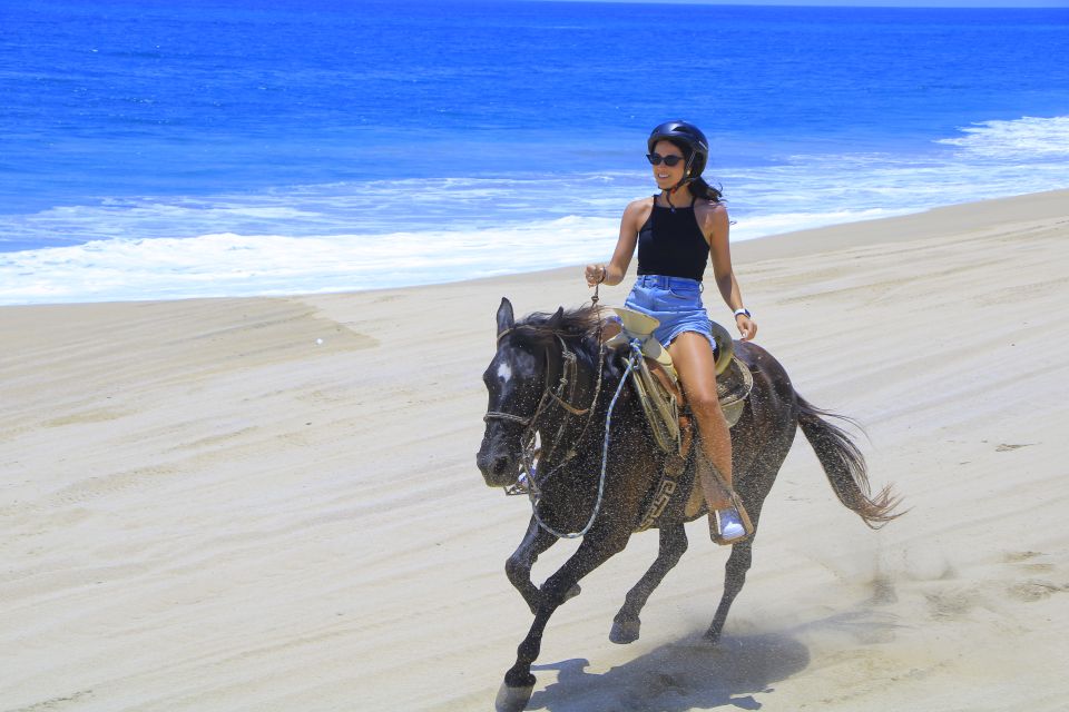 Los Cabos: Horseback Ride on Pacific Beach and Desert - Tour Itinerary